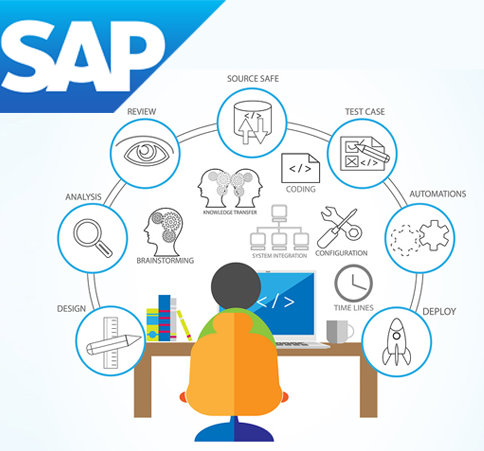 sap-custom-developments1